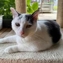 Thumbnail photo of Chucky #1