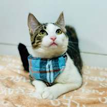 Thumbnail photo of Sticky Note #1