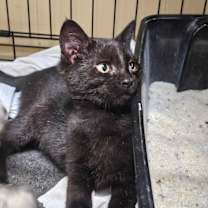 Thumbnail photo of Kimi Finster #1