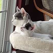 Thumbnail photo of Cee Cee 2023 #3