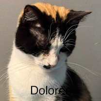 Thumbnail photo of Dolores #3