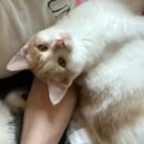 Thumbnail photo of Lily #1