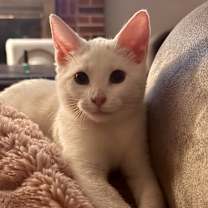 Thumbnail photo of Sugar #1