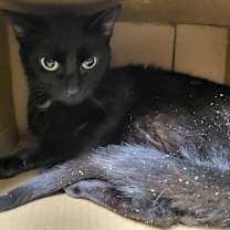 Thumbnail photo of Edgar #1