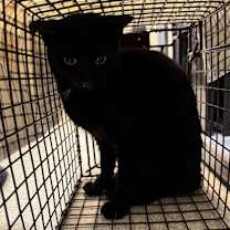 Thumbnail photo of Edgar #2