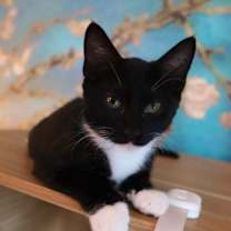 Thumbnail photo of Kairi #1