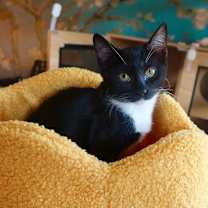 Thumbnail photo of Kairi #2