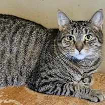 Thumbnail photo of Mabel #1