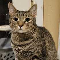 Thumbnail photo of Mabel #2