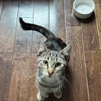 Thumbnail photo of Olivia #2