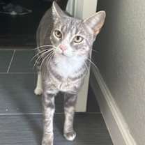 Thumbnail photo of Tally #1