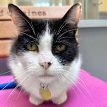 Thumbnail photo of Oscar #1