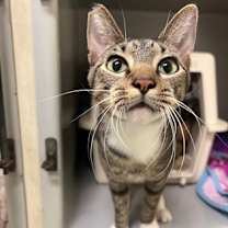 Thumbnail photo of Jethro #1