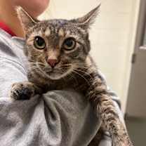 Thumbnail photo of Ayla #1