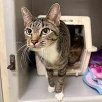 Thumbnail photo of Jethro #2