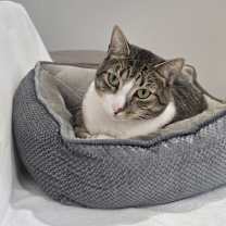 Thumbnail photo of Sebastian #1