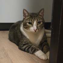 Thumbnail photo of Sebastian #3