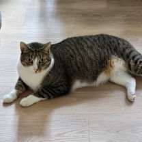 Thumbnail photo of Sebastian #4