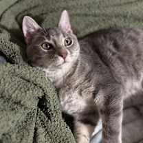 Thumbnail photo of Windy #1