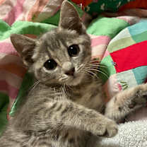 Thumbnail photo of Windy #3