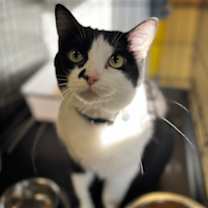 Thumbnail photo of Ms Vee #1