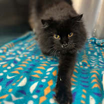 Thumbnail photo of Brendan #1