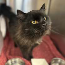 Thumbnail photo of Brendan #2