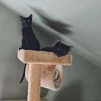 Thumbnail photo of Sandie #2