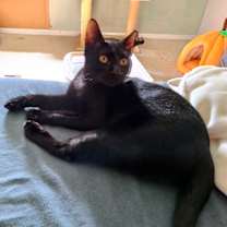 Thumbnail photo of Sonny #2