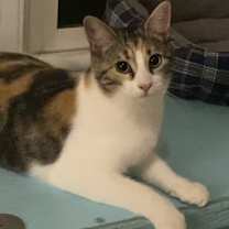 Thumbnail photo of Foofa #2