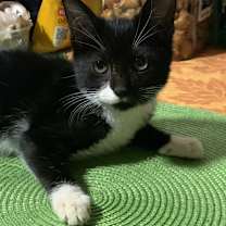 Thumbnail photo of Benita #1