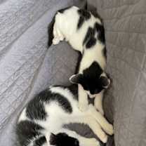 Thumbnail photo of Maggie #1