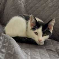 Thumbnail photo of Maggie #2