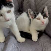 Thumbnail photo of Maggie #3