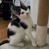 Thumbnail photo of Maggie #4