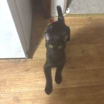 Thumbnail photo of Thumper #2