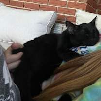 Thumbnail photo of Bear #4