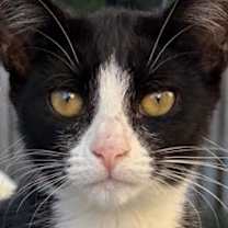 Thumbnail photo of Burlap #2