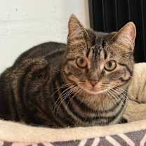 Thumbnail photo of Binnie #1