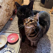 Thumbnail photo of Binnie #2