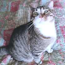 Thumbnail photo of Rolo #1