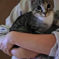 Thumbnail photo of Li Shang #4