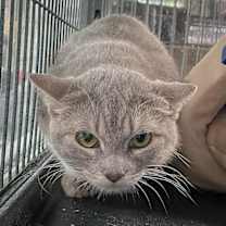 Thumbnail photo of Winifred #4