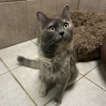 Thumbnail photo of Claudia #1