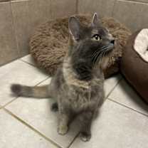 Thumbnail photo of Claudia #2