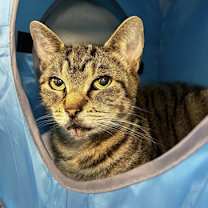 Thumbnail photo of Zippy #3