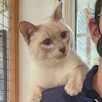 Thumbnail photo of Enzo #4