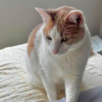 Thumbnail photo of Draco Malfoy #4