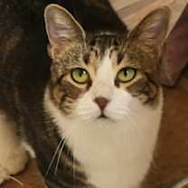 Thumbnail photo of Tia #1