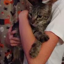 Thumbnail photo of Jasper #1